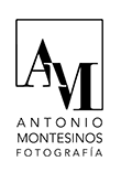 Mobile Logo